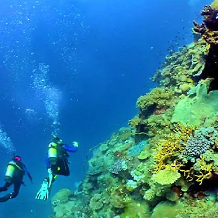 Luxury Walking Distance Gale Villa