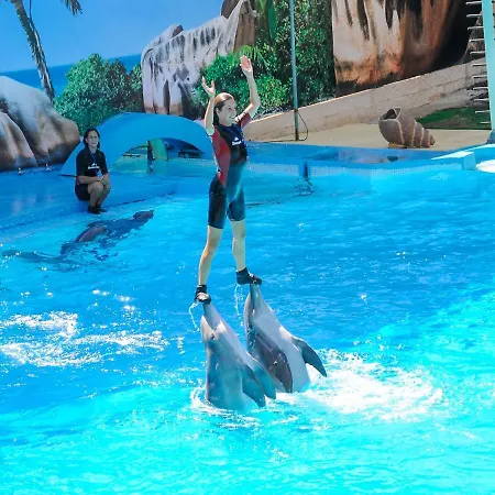 Luxury Walking Distance Gale Willa